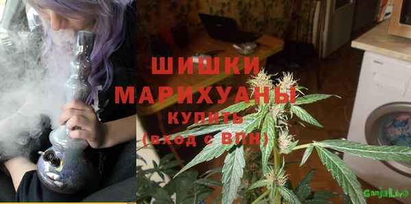 крисы Дедовск