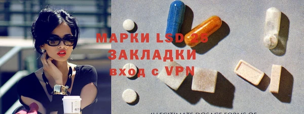 ГАЛЛЮЦИНОГЕННЫЕ ГРИБЫ Баксан
