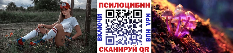 Галлюциногенные грибы Magic Shrooms  Ельня 